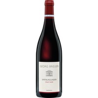 Georg Breuer Pinot Noir, Trocken, Rheingau, Rheingau, 2021, Rotwein