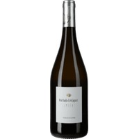 Lumière Palomino Fino