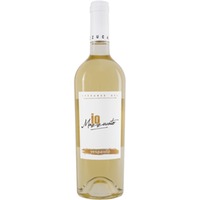 Vespaiolo Breganze DOC trocken - Io Mazzucato