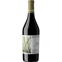 Friulano Friuli DOC trocken - Berto & Fiorella Baccichetto