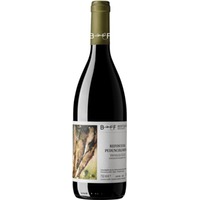 Refosco dal Peduncolo Rosso Trevenezie IGP trocken - Berto & Fiorella Baccichetto