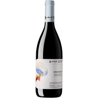 Pinot Bianco Venezia Giulia IGP trocken - Berto & Fiorella Baccichetto