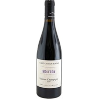 Clos Moleton - Saumur Champigny