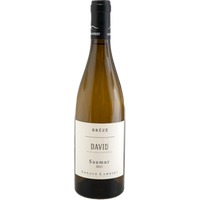 Clos David - Saumur