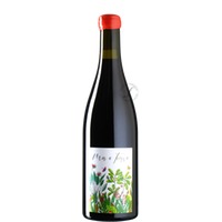 Pinot Noir Mas a Tierra