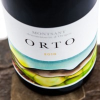 Orto
