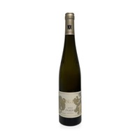 Ölberg Riesling Großes Gewächs - Weingut Kühling-Gillot