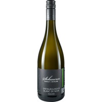Spätburgunder "Blanc de Noir" feinherb - Weingut Schaurer