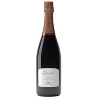 Carvinea Metodo Classico Rosé brut - Carvinea Azienda Agricola