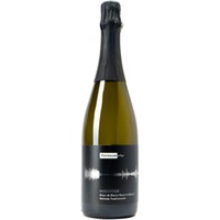 "Maestoso" Blanc de Blancs Reserve g.U. - Weingut Reckendorfer