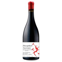 Domaine Jean Foillard Beaujolais Nouveau