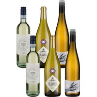 6er-Paket trockene Weißweine - Weinpakete