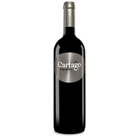 Bodegas y Viñedos San Román Cartago Paraje del Pozo Magnum