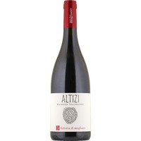 Altizi