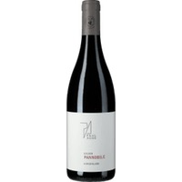 Pannobile rot Reserve