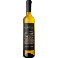 Radebeuler Goldener Wagen Traminer Spätlese lieblich 0,5 L - Sächsisches Staatsweingut Schloss Wackerbarth