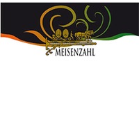 Bürgstadter Riesling B I O trocken Bio - Weingut Meisenzahl