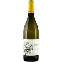 Roero Arneis Docg