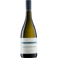 Weisser Burgunder trocken - Weingut Matthias Dostert