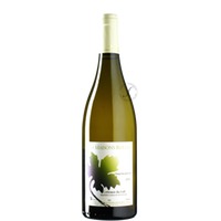 Chenin Blanc Dans Les Perrons