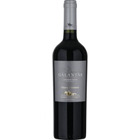 Haras de Pirque Galantas Cabernet Franc Gran Reserva 0.75 L Flasche
