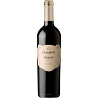 Merlot Igt Veneto - Casalforte