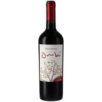 Ombú Classico Tannat | Bracco Bosca | Rotwein aus Uruguay