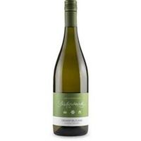 Saulheimer Grüner Veltliner trocken