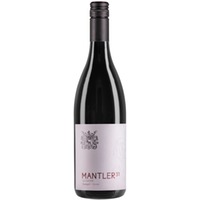 Zweigelt Gesang - Weingut Mantler31