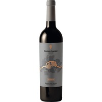 Dominio Fournier Reserva