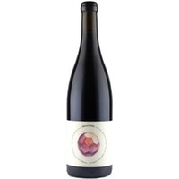 Orbis Natural Wine rot Wein aus Österreich