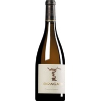 “Praephylloxera” Friulano Colli Orientali del Friuli DOC