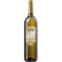 Orchidea - Sauvignon Blanc Navarra DO