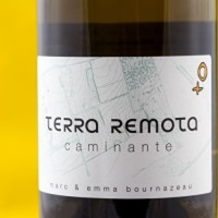 Terra Remota Caminante