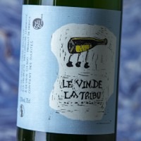 Caroline Ledédenté Le Vin De La Tribu