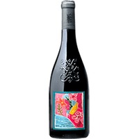 Xavier Vignon : Une Bouteille à la Mer Rouge Edition Ines de la Fressange