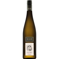 Grüner Veltliner Ried Wechselberg Kamptal DAC