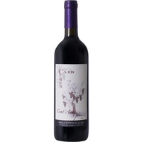 Cent´anni e piú... Dolcetto d´Alba DOC trocken 1,5 L - Ca ed Curen