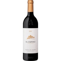 Áster El Espino