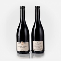 Bourgogne Pinot Noir Côte d'Or