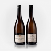 Bourgogne Aligoté