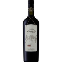 Jorge Rubio Finca Gabriel Merlot Roble, San Rafel, Mendoza, Mendoza, 2021, Rotwein