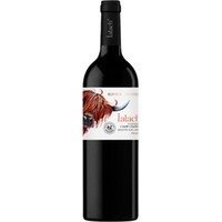IALACH Rouge trocken - Domaine du Champ Chapron