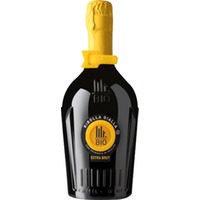 Spumante Ribolla Gialla extra brut Bio - Mister Bio Wine