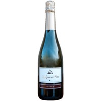 La Luna nel Pozzo brut - Aradelli
