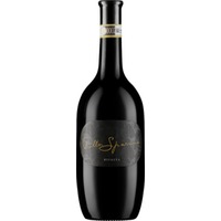 Rivalta Barbera del Monferrato Superiore DOC trocken - Villa Sparina