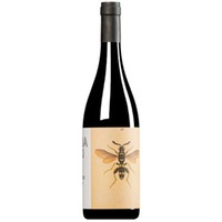 "Il Sangiovese" Sangiovese Predappio Romagna DOC (BIO)