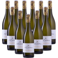 Le Contesse Bianco Frizzante Marca Trevigiana 12er Angebot