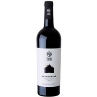 Negroamaro Puglia IGP