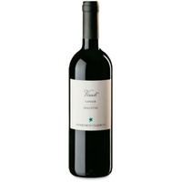 Domenico Clerico Dolcetto Langhe Visadi